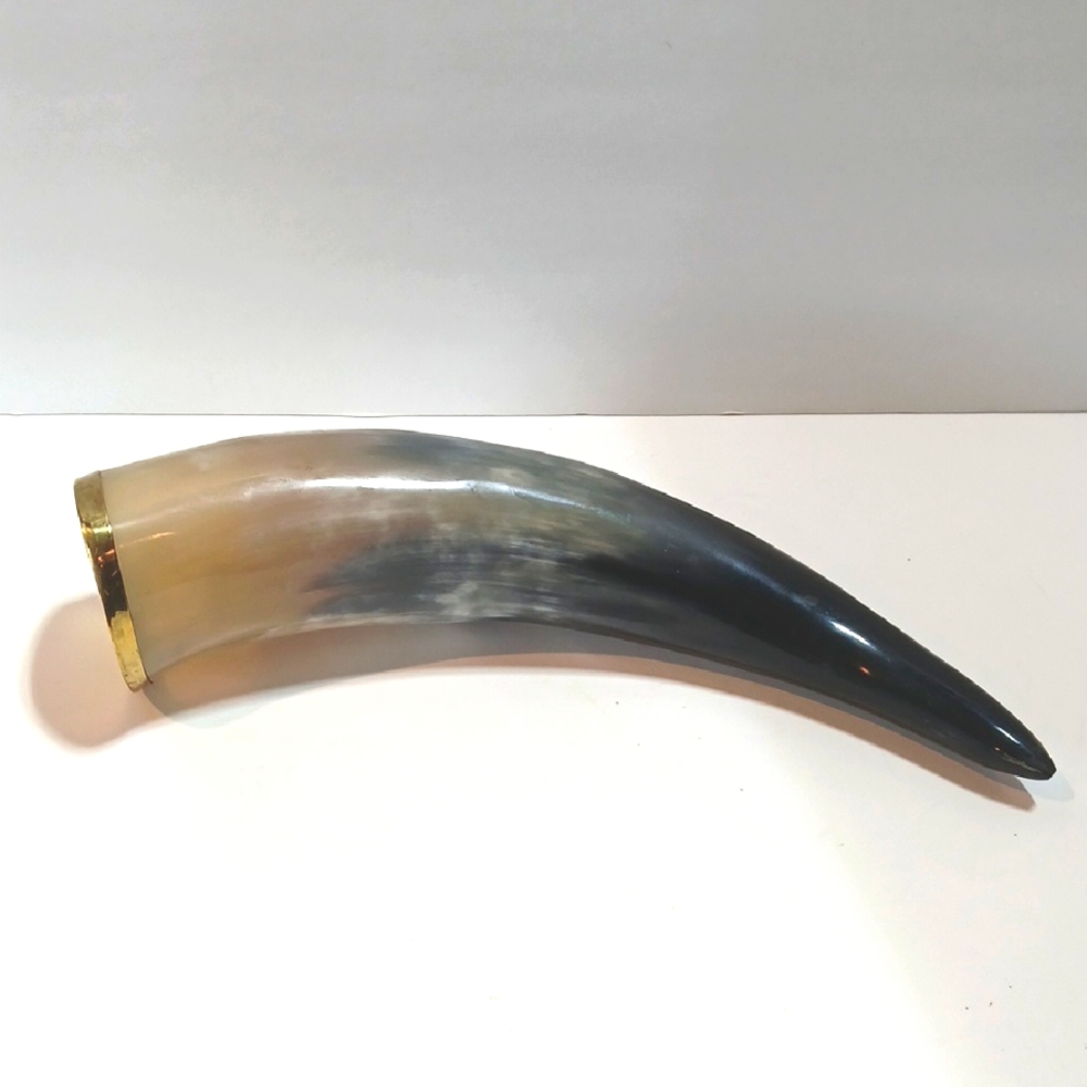 🍻 Real Viking Drinking Horn with Brass Trim – 10” Mead Horn